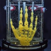 Bringing bones to life: Artist prototypes a hand grown out of stem cells