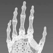 Amy Karle’s Regenerative Reliquary – A 3D Printed Bone Growth Scaffold as Sculpture