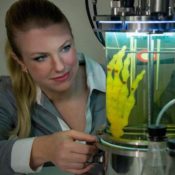 Forget Impressionism, This Artist is Growing a Real Skeleton Human Hand in a Lab