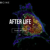 After Life October 2017