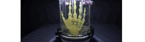 An Artist is Growing a Real Human Hand