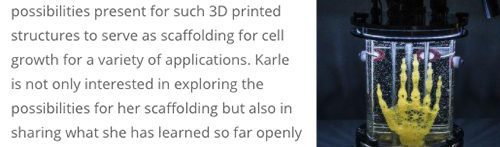 3D Printed Scaffold for Artistic Cell Culture