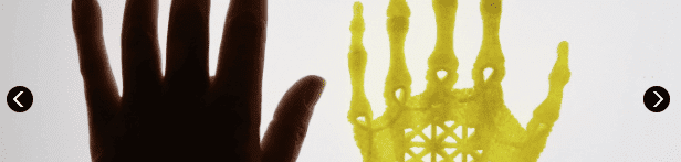 Bio-artist who brings up “your hand” with 3D printer and stem cells