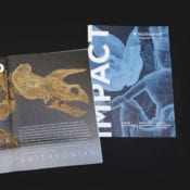 IMPACT magazine | Unlocking the Smithsonian