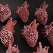 Amy Karle e HP: Amy Karle utilizza la stampa 3D nell’arte futurista stimolante 