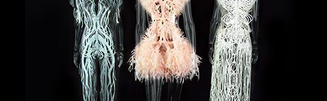 Body and Fashion, a Relationship of Standardizations and Exclusion