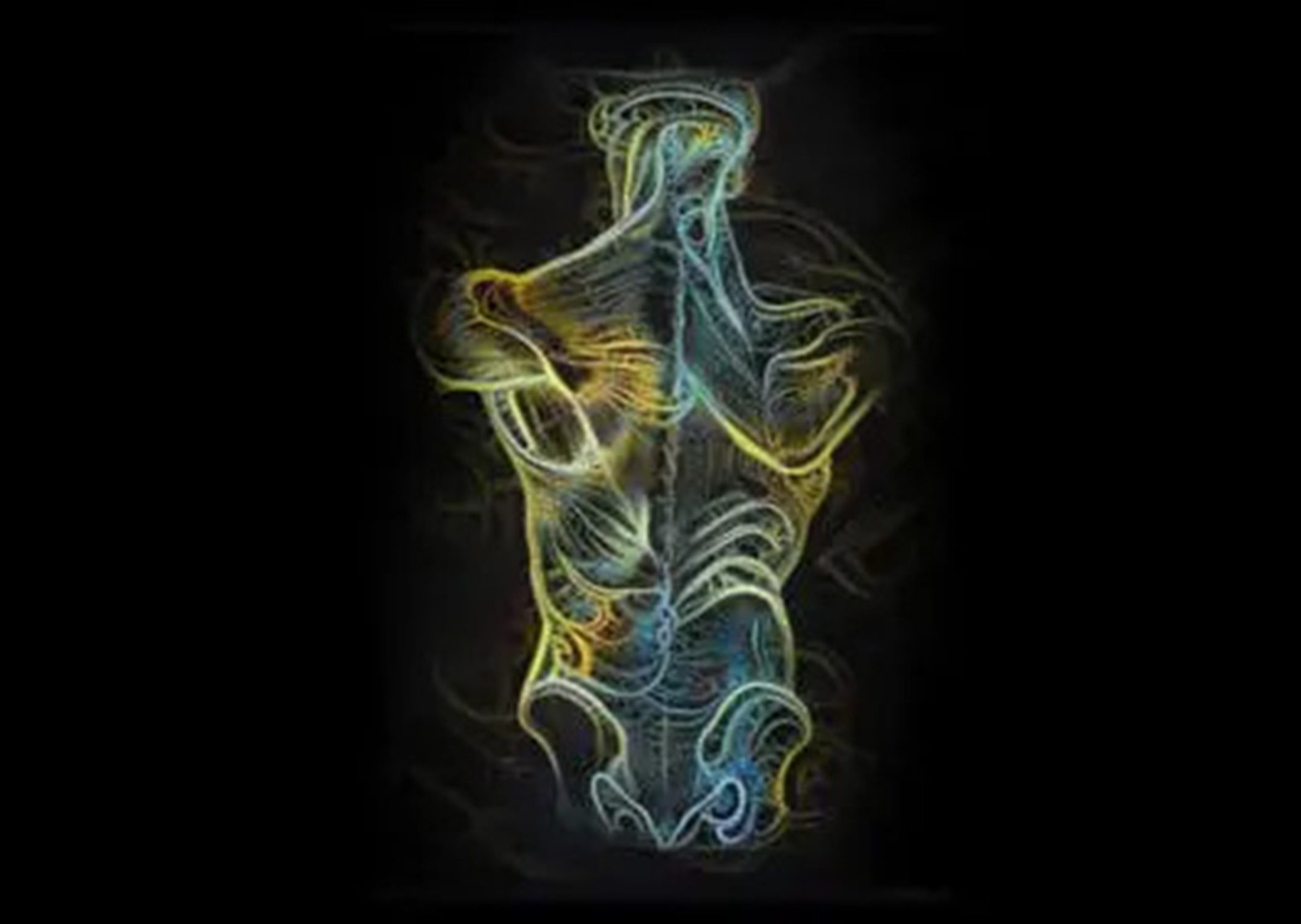 the body and technology