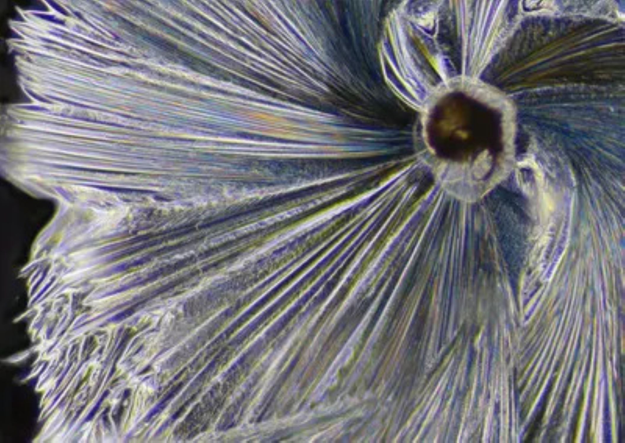 crystallization